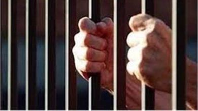 المؤبد وغرامة 100 ألف جنيه لمتهم بحيازة 13 قطعة حشيش في الإسكندرية