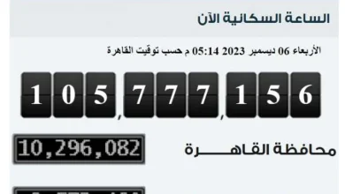 المصريون زادوا 109 آلاف نسمة في 30 يوما.. « الإحصاء» يكشف التفاصيل
