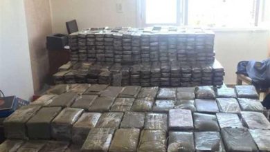 حبس متهم بحيازة 150 طربة لمخدر الحشيش بقصد الاتجار في الإسكندرية
