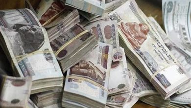 ضبط 10 أشخاص حاولوا غسل 150 مليون جنيه حصيلة تجارة مخدرات بالقليوبية