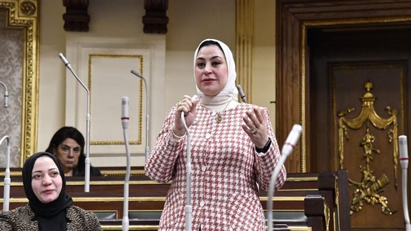 مصر تقوم بثورة شاملة في التنمية بتوجيهات الرئيس السيسي