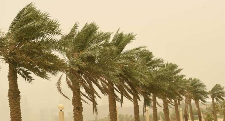 «الأرصاد» تنوه: رياح مثیرة للغبار تقل معھا الرؤیة الأفقیة على بعض المناطق