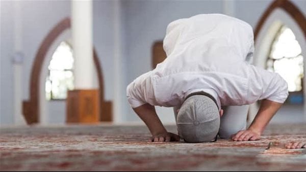 التصرف الصحيح حال الشك في عدد ركعات الصلاة.. أمين الإفتاء يكشف عنه