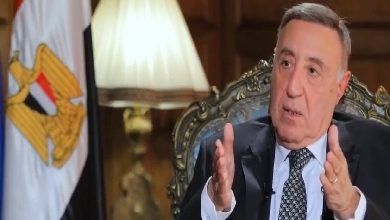 بينها تعديل الدستور دون استفتاء.. رئيس الدستورية العليا يتحدث عن 3 صلاحيات لا تملكها المحكمة