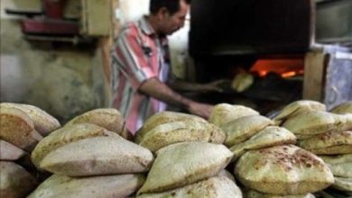 تحرير 55 محضرا لمخابز بلدية محالفة بالعجمي في الإسكندرية