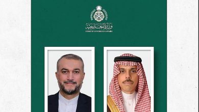 وزير الخارجية يبحث مع نظيره الإيراني التطورات الإقليمية والدولية