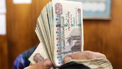 الجدول الرسمي لزيادة المعاشات 2024.. التطبيق بدءا من مارس المقبل