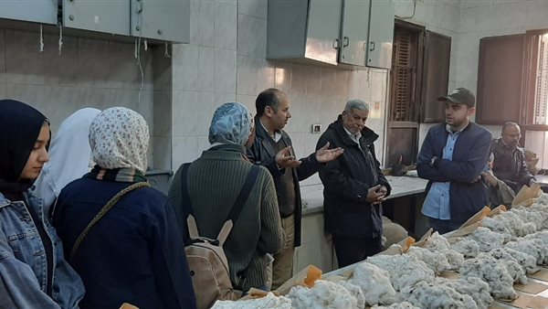 معهد القطن يدرب 280 طالبا من "زراعة عين شمس" على أساليب الإنتاج