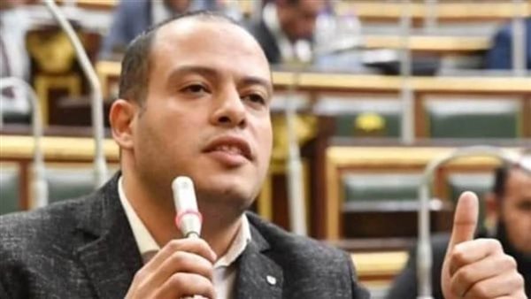 النائب هاني خضر يتقدم بطلب إحاطة بشأن مخالفه اشتراطات وزارة الري واهدار المال العام بقريه فينيسيا
