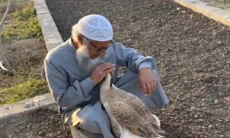 بالفيديو.. صداقة نادرة تجمع بين العم علي الغامدي و«الوزة عطيات» في الباحة