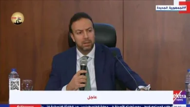 نائب محافظ البنك المركزي: الاقتصاد المصري قادر على جذب الاستثمارات المباشرة