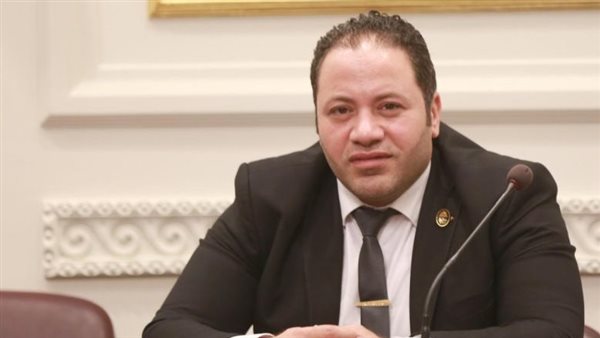 النائب مصطفى سالمان يثمن توصيات اللجنة الخاصة لدراسة برنامج الحكومة