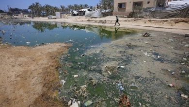 كارثة صحية جديدة.. الكشف عن وجود فيروس شلل الأطفال في غزة 