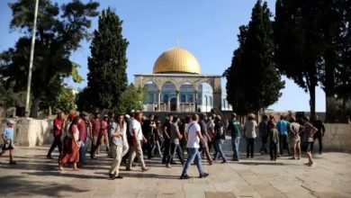 35 قتيلاً في مجزرتين إسرائيليتين بغزة.. واقتحامات بالضفة والقدس - أخبار السعودية