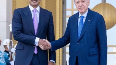 أمير قطر يبحث العلاقات الثنائية والتطورات الإقليمية والدولية مع الرئيس التركي