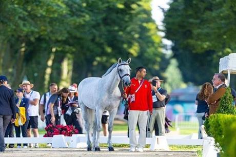 أولمبياد باريس 2024.. انسحاب فارس مصري لهذا السبب!