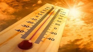 الأرصاد: طقس غد الاثنين شديد الحرارة رطب نهارا مائل للحرارة رطب ليلا.. والعظمى بالقاهرة 36