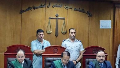 الحبس 6 أشهر مع الشغل لـ عصام صاصا في قضية دهس عامل على دائري المنيب