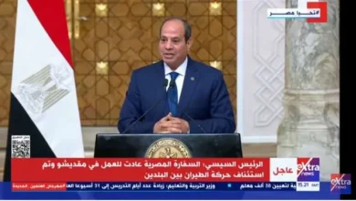 الرئيس السيسي: العلاقات المصرية الصومالية تاريخية وممتدة منذ سنوات