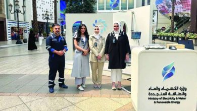 «الكهرباء» ساهمت بـ 33.4 في المئة من إجمالي إيرادات الدولة غير النفطية