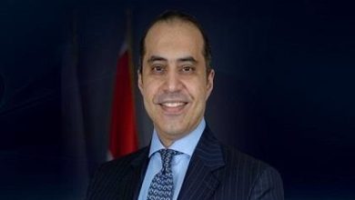 المستشار محمود فوزي
