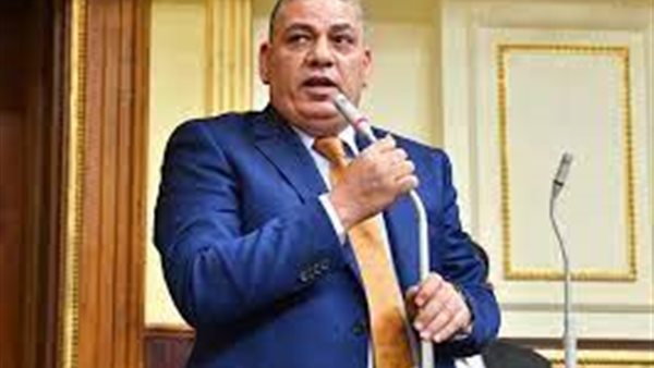 سؤال برلماني عن سبب فشل البعثة المصرية في الأولمبياد