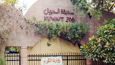ما مصير مئات الأشجار المُعمّرة
والحيوانات والطيور في حديقة الحيوان؟