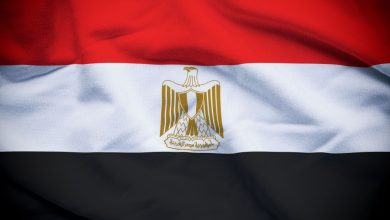 مصر تؤكد ضرورة إنهاء الحرب في غزة وتبادل المحتجزين