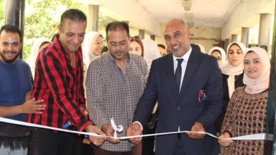 معرض فني للموهوبين ولقاءات توعوية للرواد بثقافة الدقهلية