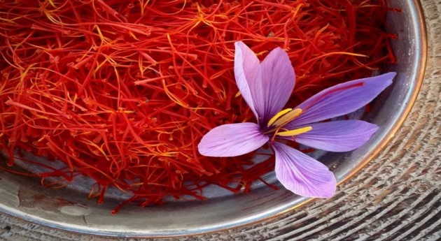 هل يستطيع الزعفران علاج أمراض المخ؟.. دراسة تجيب