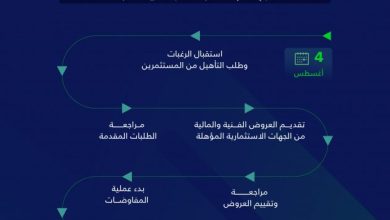 وزارة الرياضة تعلن بدء طرح ستة أندية رياضية للتخصيص