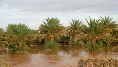 الأمطار الغزيرة في المغرب « نعمة » للواحات لكن الجفاف مستمر في بقية البلاد