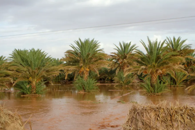 الأمطار الغزيرة في المغرب « نعمة » للواحات لكن الجفاف مستمر في بقية البلاد