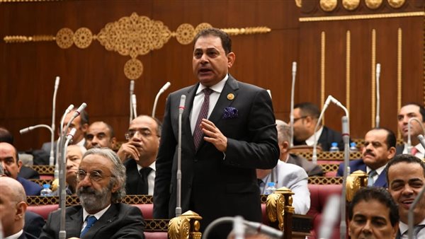 الدولة المصرية تبذل جهود دؤوبة لحفظ الاستقرار الإقليمي