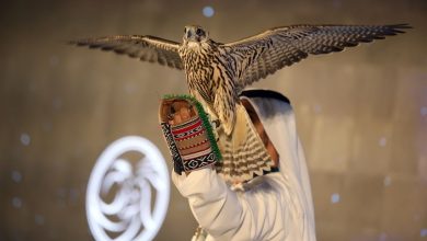 "الصيد والفروسية" يعرض مقتنيات تراثية تجسد الهوية الإماراتية