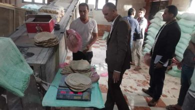 تموين المنيا تحرر 133 محضرا خلال حملات على المخابز والأسواق