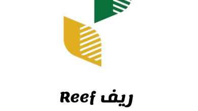 شروط الحصول على دعم ريف 1446 والأوراق المطلوبة ومتى ينزل الدعم هذا الشهر
