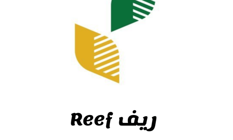شروط الحصول على دعم ريف 1446 والأوراق المطلوبة ومتى ينزل الدعم هذا الشهر