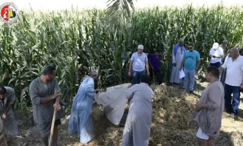 «عضو التحالف الوطني» ينفذ مشروعا زراعيا في المنيا