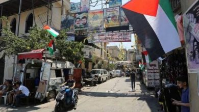 ما هو دور الفصائل الفلسطينية في مخيمات لبنان؟ 