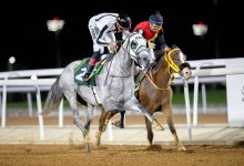 نادي سباقات الخيل: ترقب الجمعة لكأسي الملك فيصل وعبد الله الفيصل