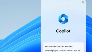 ويندوز 11 يستعد لإطلاق ميزة البحث الذكي في الصور والفيديو