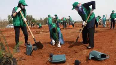 مؤشر بيئي عالمي يبوئ المغرب المركز 136