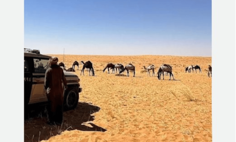 ضبط مواطن لارتكابه مخالفة رعي بمحمية الإمام عبدالعزيز بن محمد الملكية