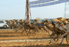 مُلّاك الهجن السعوديون يواصلون التألق في ثاني أيام كأس الاتحاد