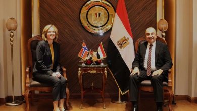 وزير قطاع الأعمال يبحث مستجدات مشروع المحطة الشمسية لمجمع الألومنيوم بنجع حمادي