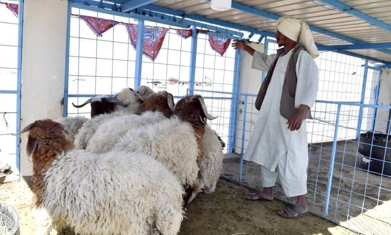 «البلديات»: إنشاء أسواق النفع العام خارج النطاق العمراني - أخبار السعودية