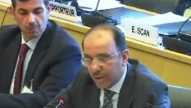 «الإعلام» حريصة على التوعية والتثقيف بـ «ظاهرة العنف والتع...