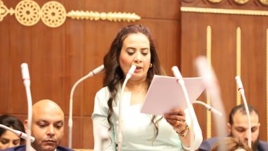 النائبة راجية الفقي: المرأة هي السبب في العنف والإهانة اللذين تتعرض لهما وليس الرجل
