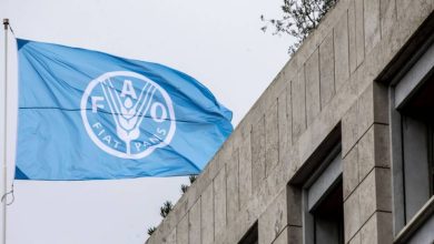 انخفاض ملحوظ بالتكاليف المستترة المرتبطة بالنظام الغذائي في ...